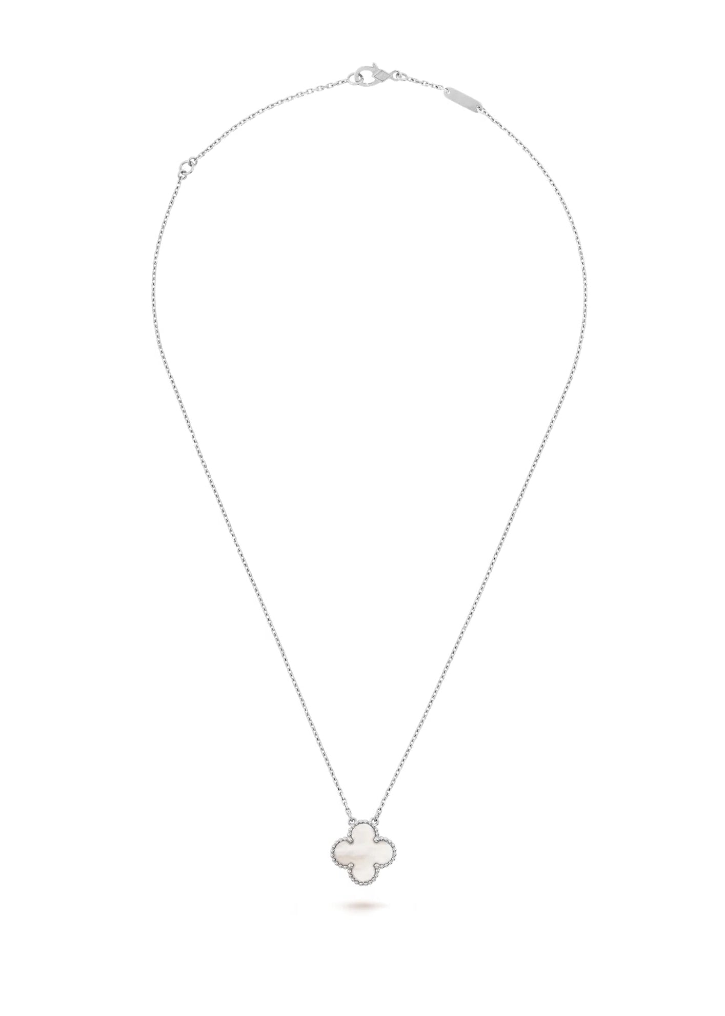 Majorelle Collar - Ostra