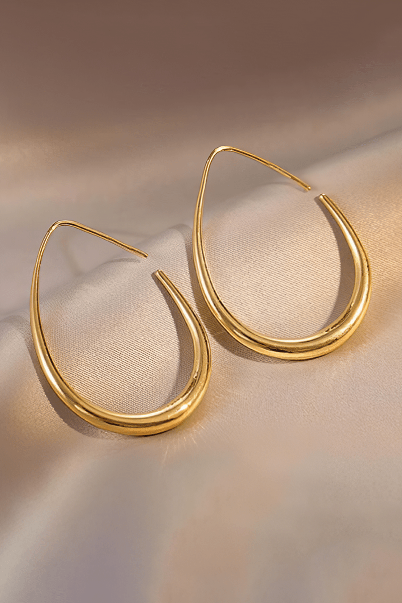 Oval Metal Earrings