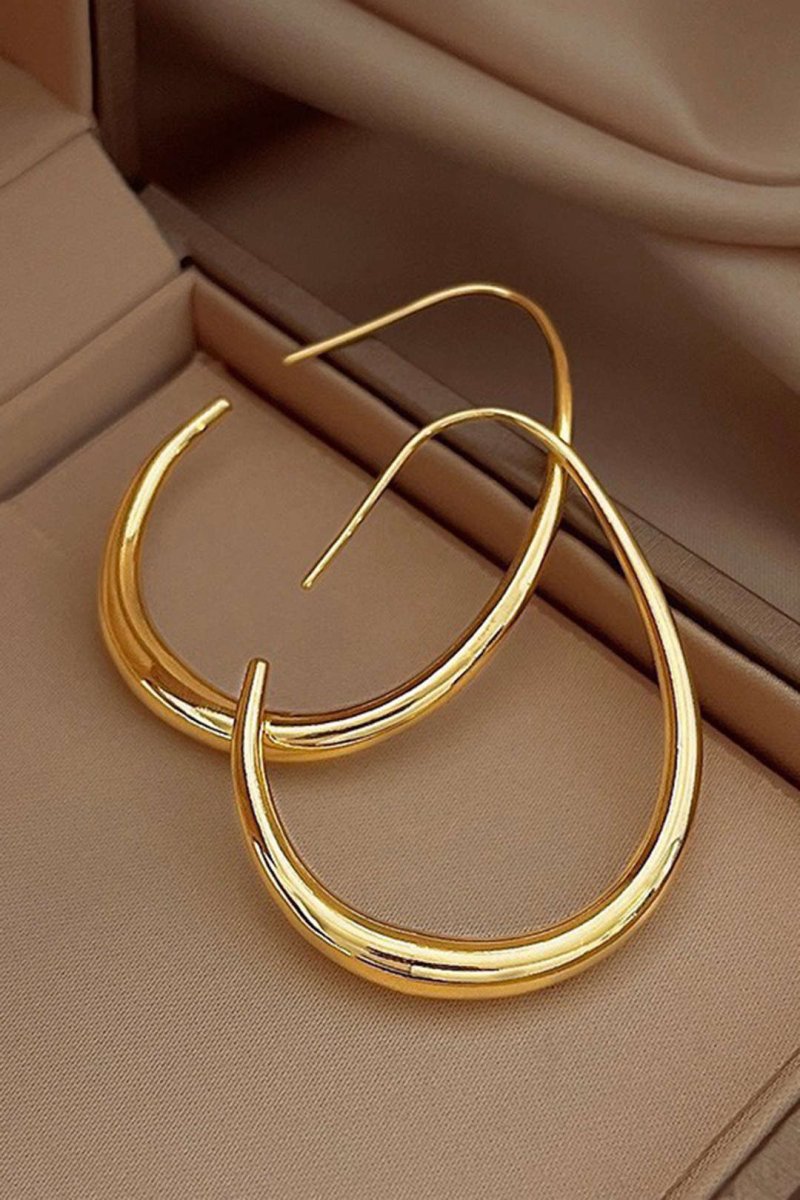 Oval Metal Earrings